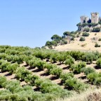 Castillo de Almodóvar
